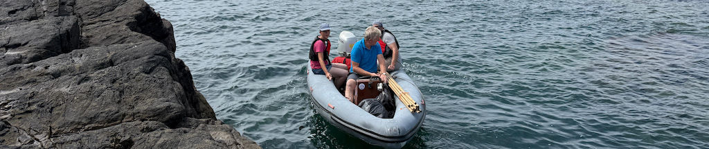Seabird ringing