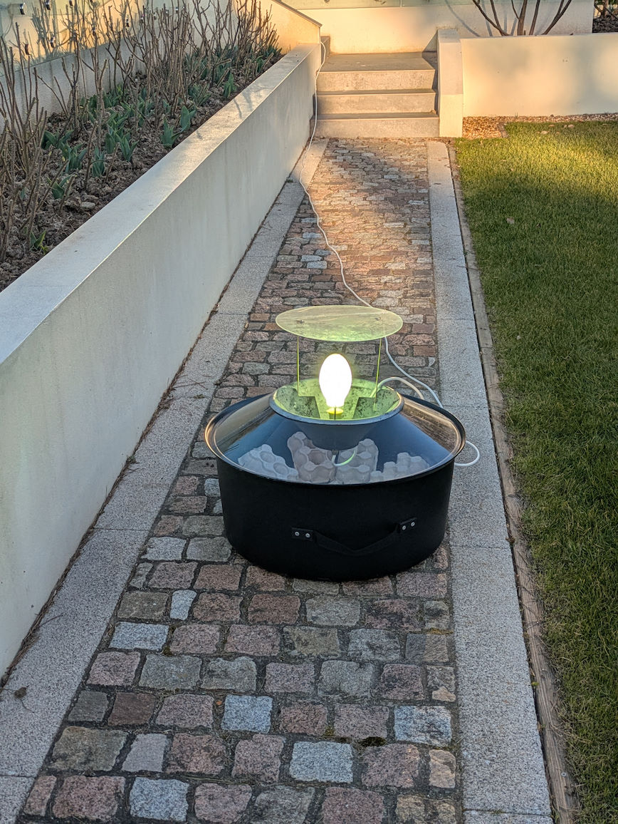 Moth trap