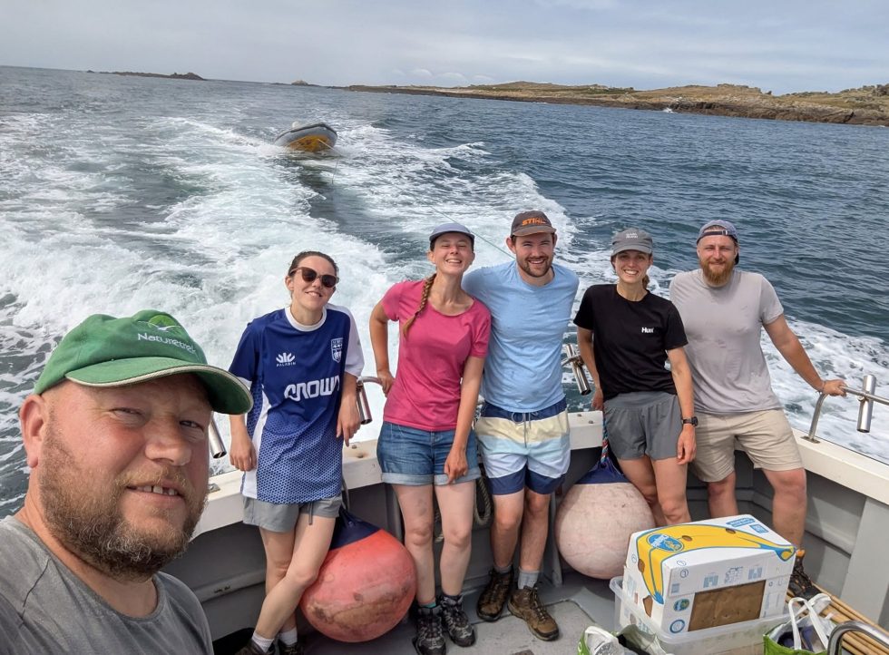 The seabird ringing team returning from Burhou